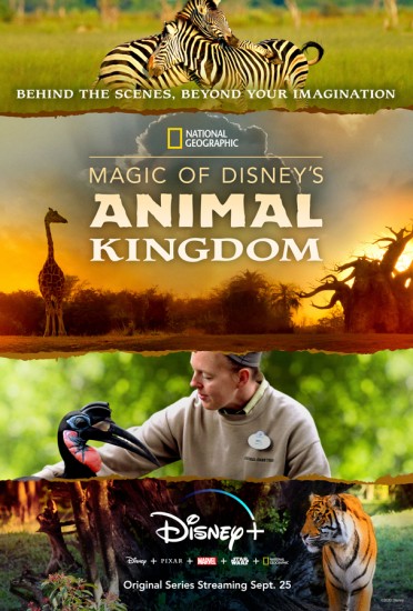 Coleo Digital A Magia Disney do Animal Kingdom Todas Temporadas Completo Dublado