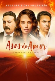 Novela Asas do Amor Todos Captulos Completos Envio Digital