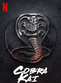 Coleo Digital Cobra Kai Todas Temporadas Completo Dublado