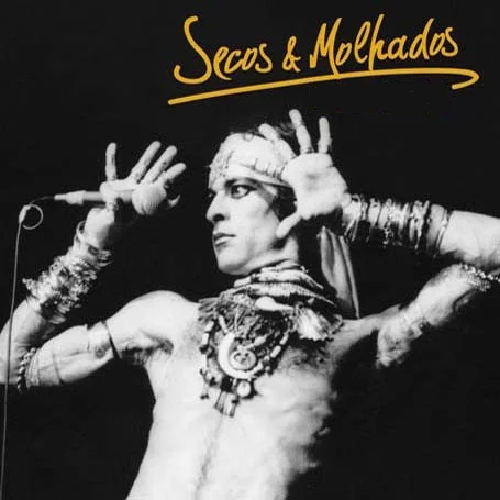 Secos e Molhados Discografia Completa Todas as Msicas e Discos