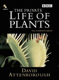 Coleção Digital A Vida Secreta Das Plantas Documentário Completo