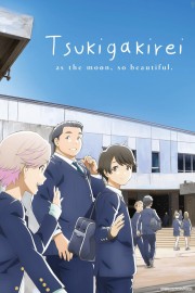 Coleo Digital Tsuki Ga Kirei Todos Episdios Completo