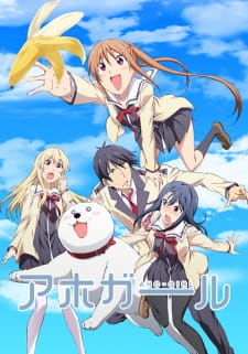 Coleo Digital Aho Girl Todos Episdios Completo