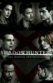 Coleo Digital Shadow Hunters Todas Temporadas Completo Dublado