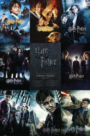 Coleo Digital Harry Potter Todos os Filmes Completo Dublado