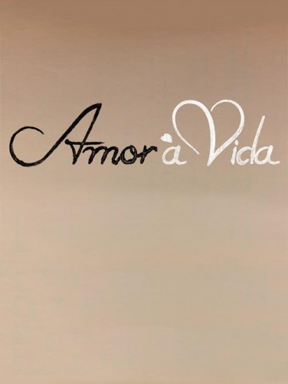 Novela Amor  Vida Todos Captulos Completos Envio Digital